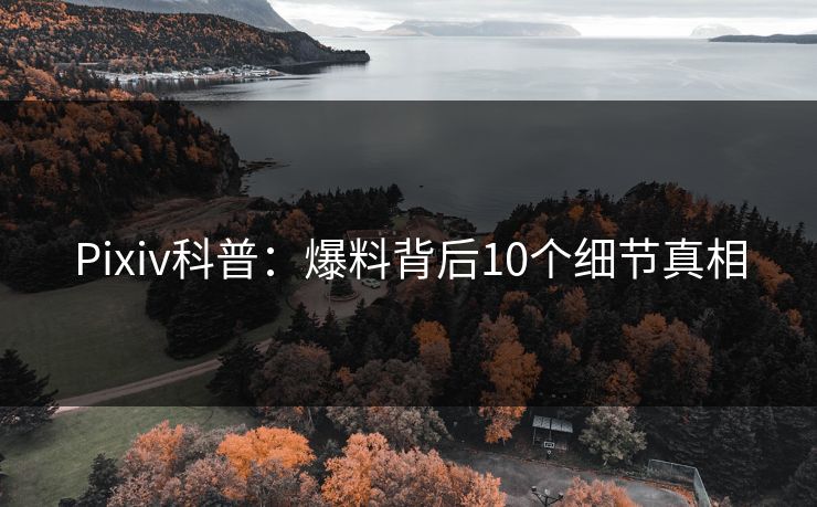 Pixiv科普：爆料背后10个细节真相