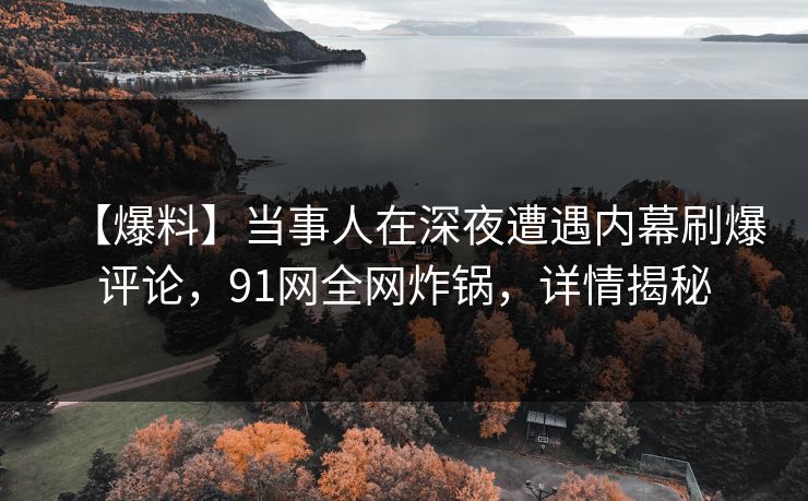 【爆料】当事人在深夜遭遇内幕刷爆评论，91网全网炸锅，详情揭秘