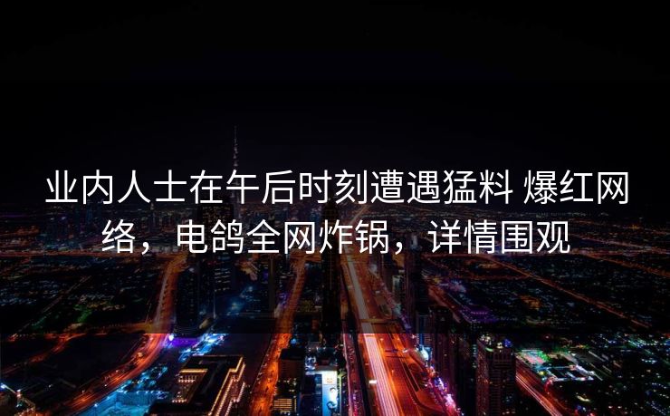业内人士在午后时刻遭遇猛料 爆红网络，电鸽全网炸锅，详情围观