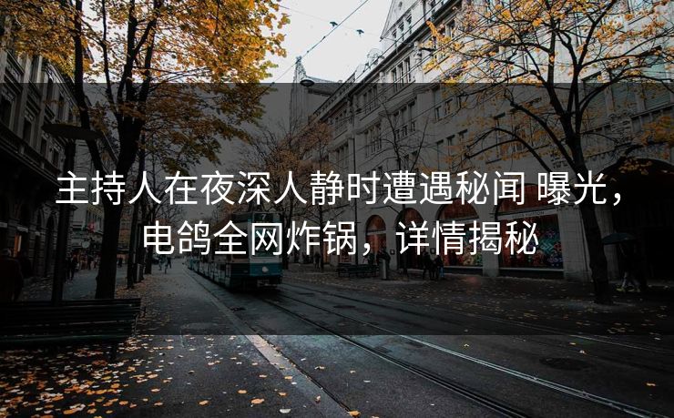 主持人在夜深人静时遭遇秘闻 曝光，电鸽全网炸锅，详情揭秘